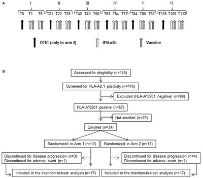 Clinical and Immunological Outcomes in High-Risk Resected Melanoma Patients Receiving Peptide-Based Vaccination and Interferon Alpha, With or Without Dacarbazine Preconditioning: A Phase II Study